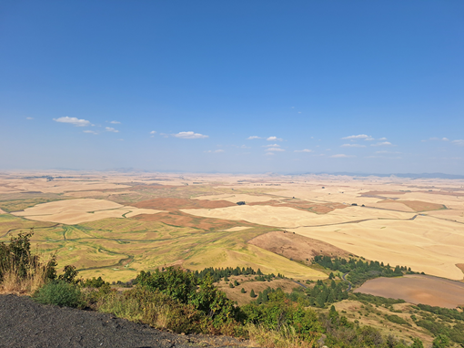 View from Steptoe Butte - Miles of Pacific Northwest farmland